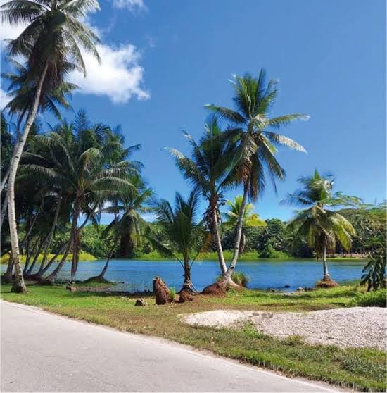 Phân tích độ mạnh hộ chiếu Nauru, rủi ro pháp lý và giải pháp đầu tư quốc tịch thứ hai an toàn, tối ưu chi phí cho gia đình Việt.